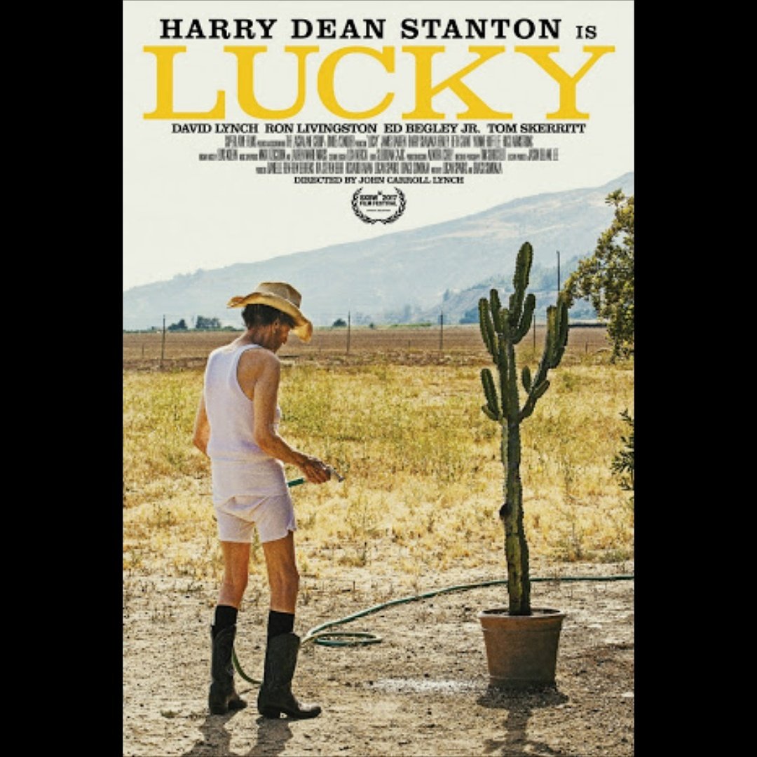 curtapara's tweet photo. Tem publicacao sobre #Lucky último filme de #HarryDeanStaton ,q faleceu aos 91 anos.A obra tb conta c a atuação de #DavidLynch .Td no nosso insta. Passem lá! https://t.co/ayFyQvW5Jj