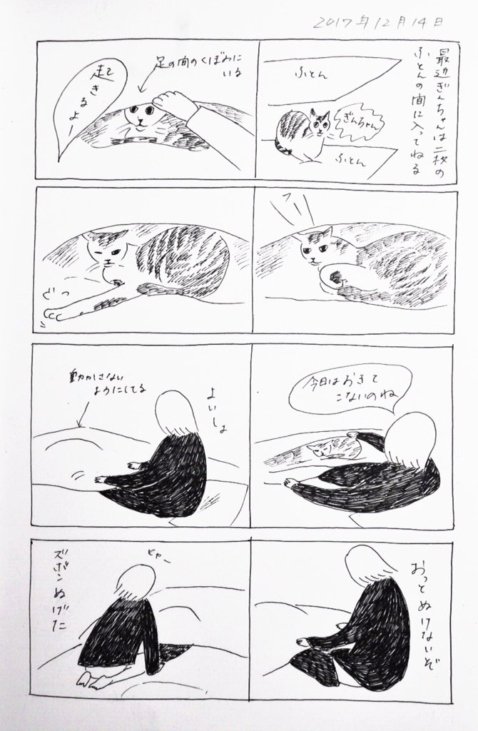 2017/12/14のぎんちゃん  #今日のぎんちゃん 