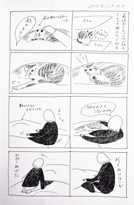 2017/12/14のぎんちゃん  #今日のぎんちゃん 