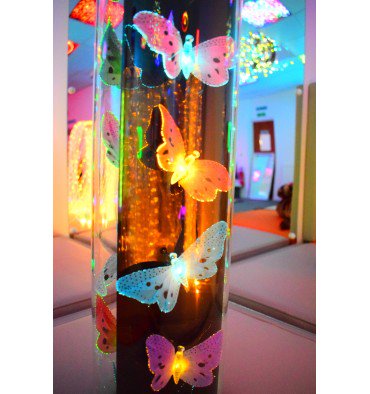 The papillion tube is filled with colour changing fibre optic tropical butterflies, providing a calming environment for the user. Ideal for use in care homes, hospitals and even at home.

Sensory Toys For Autism | Manchester | Sensory Smart World bit.ly/2jwF2wo