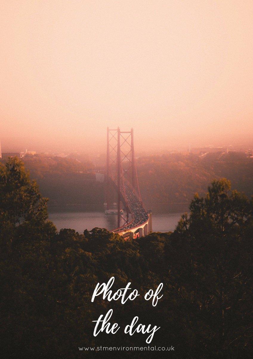 STM_Enviro's tweet photo. Another #PhotoOfTheDay. This time featuring the Golden Gate Bridge, SF. https://t.co/Weg7qDOPaJ