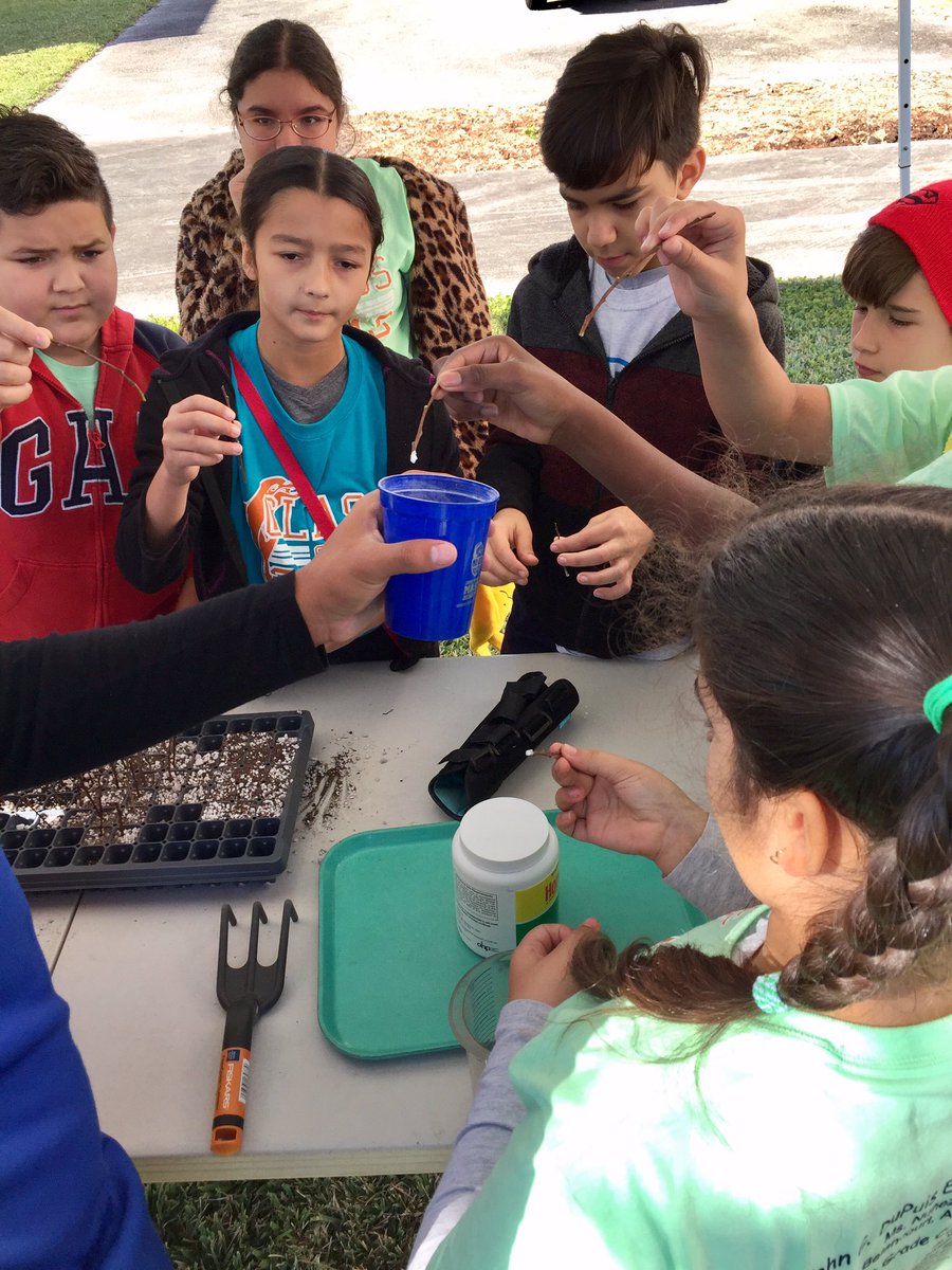 andrewkearns64's tweet photo. @JohnGDuPuisElem fifth grade students preparing cocoplum cuttings to plant during #BotanyFieldTrip to @josemartimast #NativeArboretum! #mast1718 😃���👍🏻@STEMDesignation @MDCPSSTEAM @FairchildGarden @fl_native_plant @MDCPSNorth https://t.co/uHisBxlS0q