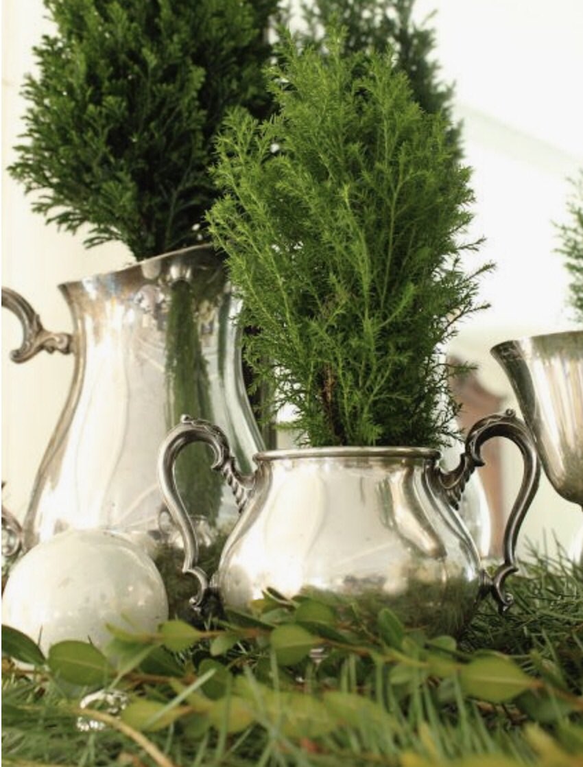 MaryLynchDesign's tweet photo. Sometimes nothing beats the classics in holiday decor.
#decorating #holidays #holidaydecor #greenery #silver #interiordesigners #stpaul #mn #mld https://t.co/lqFUvzp73a