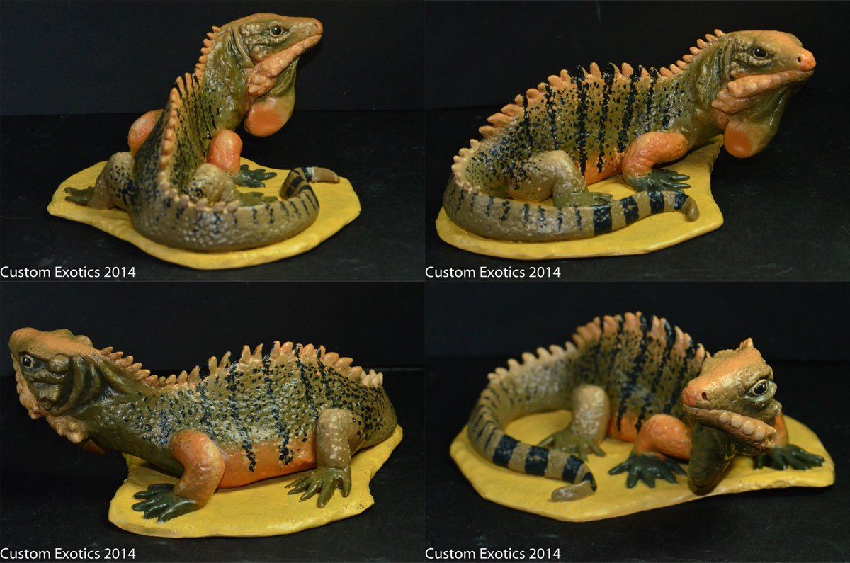 CustomExotics's tweet photo. Doing a little throw back to 2014 to one of my most memorable pieces that I still get asked about. This piece was commissioned for Ty Park of Ty’s Lizards as a gift.

I really have to try to do some larger stuff in 2018. #reptiles #iguana #animal #wildlife #polymerclay https://t.co/PcVDxey10H