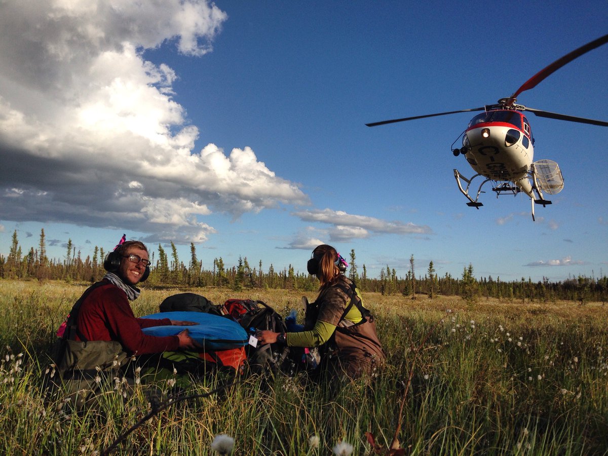 ABbiodiversity's tweet photo. We're hiring! We are looking for up to 46 summer field technologists to join our team. For more info and to apply: https://t.co/VUL68EyE2R 📸: Nina Veselka #AlbertaJobs #BiologyJobs https://t.co/FefYIwJTRx