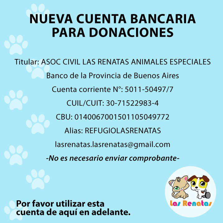lasrenatasok's tweet photo. Mañana viernes es la cirugía de Toro. El valor es de $10.000 y aún no tenemos el dinero 😥 Nos das una pata? Perdón que pedimos tanta ayuda, pero los gastos son muchísimos. Gracias!! https://t.co/3i2cqxhSQh