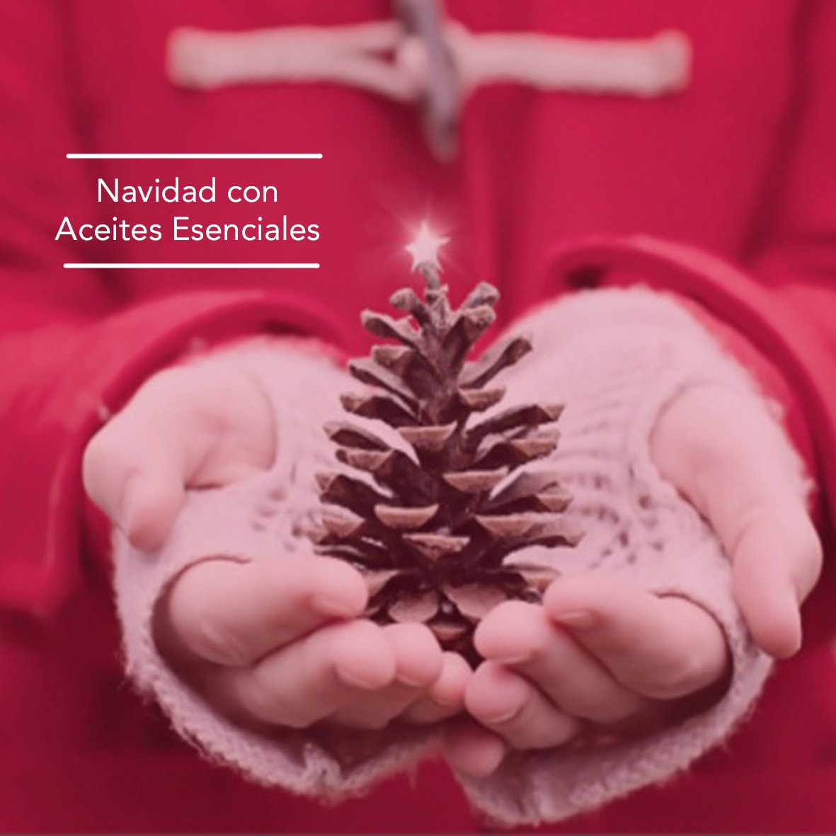 ConieNatural's tweet photo. #Navidad con Aceites Esenciales. Naranja-Canela: Deliciosa mezcla que recuerda el calor de hogar, la alegría infantil, el aroma a galletas. Te ayuda a mantenerte activa, despierta, y en armonía con quienes te rodean. La aromaterapia en un clic-> https://t.co/TgqeqdkDKO https://t.co/tALJZBAt77