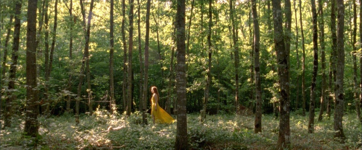 LSFF's tweet photo. A whole damn day to lose yourself in Lucile Hadžihalilović's singular dreaminess - in Q&amp;A with her short works (https://t.co/kofxaj6xGj), followed up with her dir. debut, Innocence (https://t.co/JciLuBOUiK) 

For your diary: 20 Jan, @CurzonSoho, #LSFF2018 https://t.co/l5DyrWe5Nh