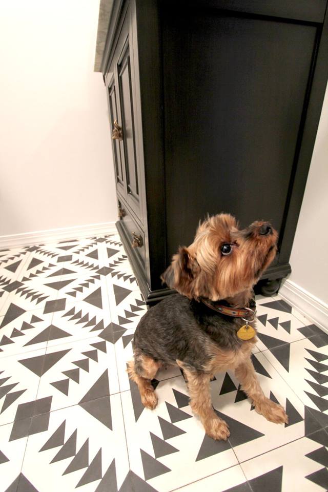 dRemodeling1's tweet photo. Happy #ThrowbackThursday ! Rewinding to this fabulous #graphicindustrial style bath Even this cute little pup couldn't resist getting a closer look at all the wonderful #designdetails ππΆπ οΈπΎ
#dRemodeling #BathRemodeling #puppylove
#industrialbath #interiordesign https://t.co/kF13TPvemf