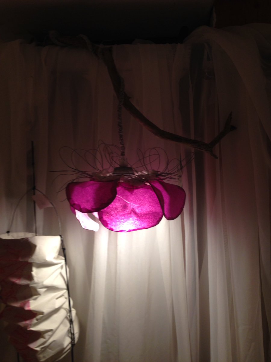 Loupiotes à petits prix !! ✨il suffit de rejoindre la Page Facebook de l'atelier par ici >>facebook.com/roserecelecrea… #marchedenoel #normandie