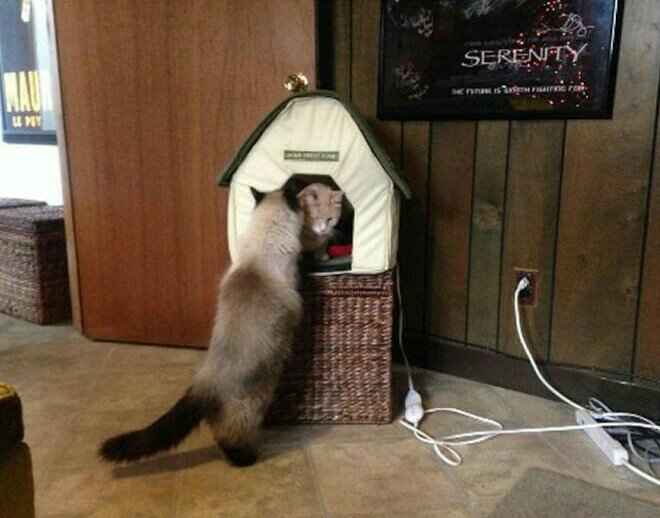 crazy_kutas's tweet photo. Пьеса в четырех актах https://t.co/HZOxGggTDm