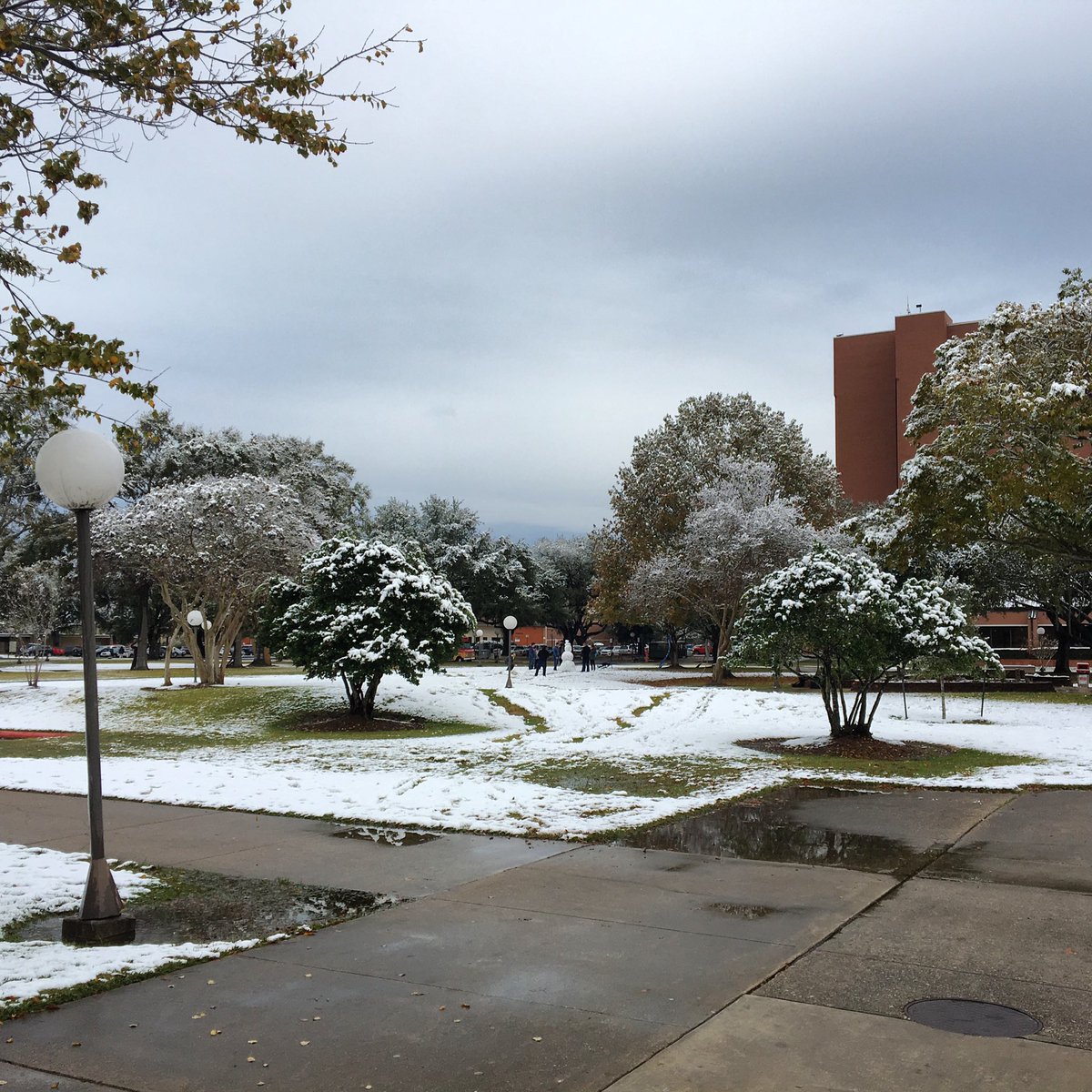 LUTALH's tweet photo. #TBT to the best snow day ever! Students took advantage of this fun study break! #TALH #WeAreLU https://t.co/7gifECGQgr