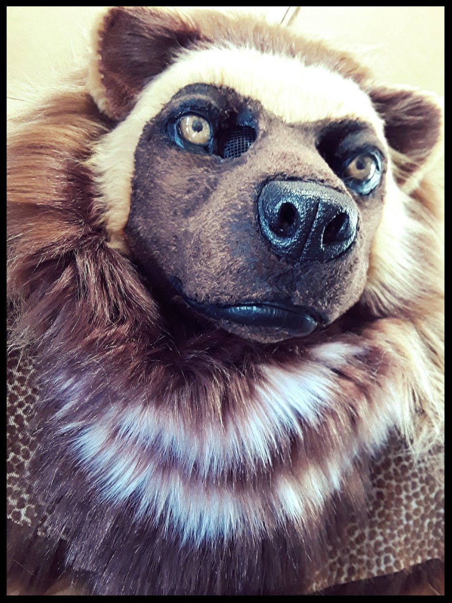 WolfSkin_Studio's tweet photo. Finished my girlfriends wolverine head! Now i just gotta bust out her bodysuit, hands, feets and tail and shes all set!
Second time working on a realistic suit, im pretty happy with it (: https://t.co/B2yZdPJF3M