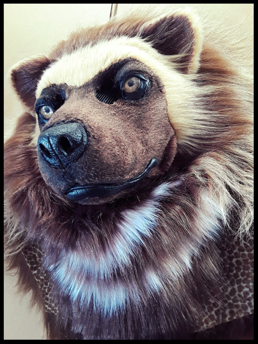 WolfSkin_Studio's tweet photo. Finished my girlfriends wolverine head! Now i just gotta bust out her bodysuit, hands, feets and tail and shes all set!
Second time working on a realistic suit, im pretty happy with it (: https://t.co/B2yZdPJF3M