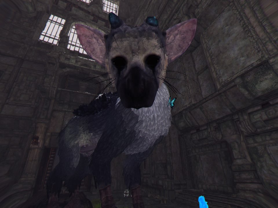 人喰いの大鷲トリコ Vr 上質なvr体験に絶賛の嵐 本編のvr化に期待 動画 Vr Rendez Vous