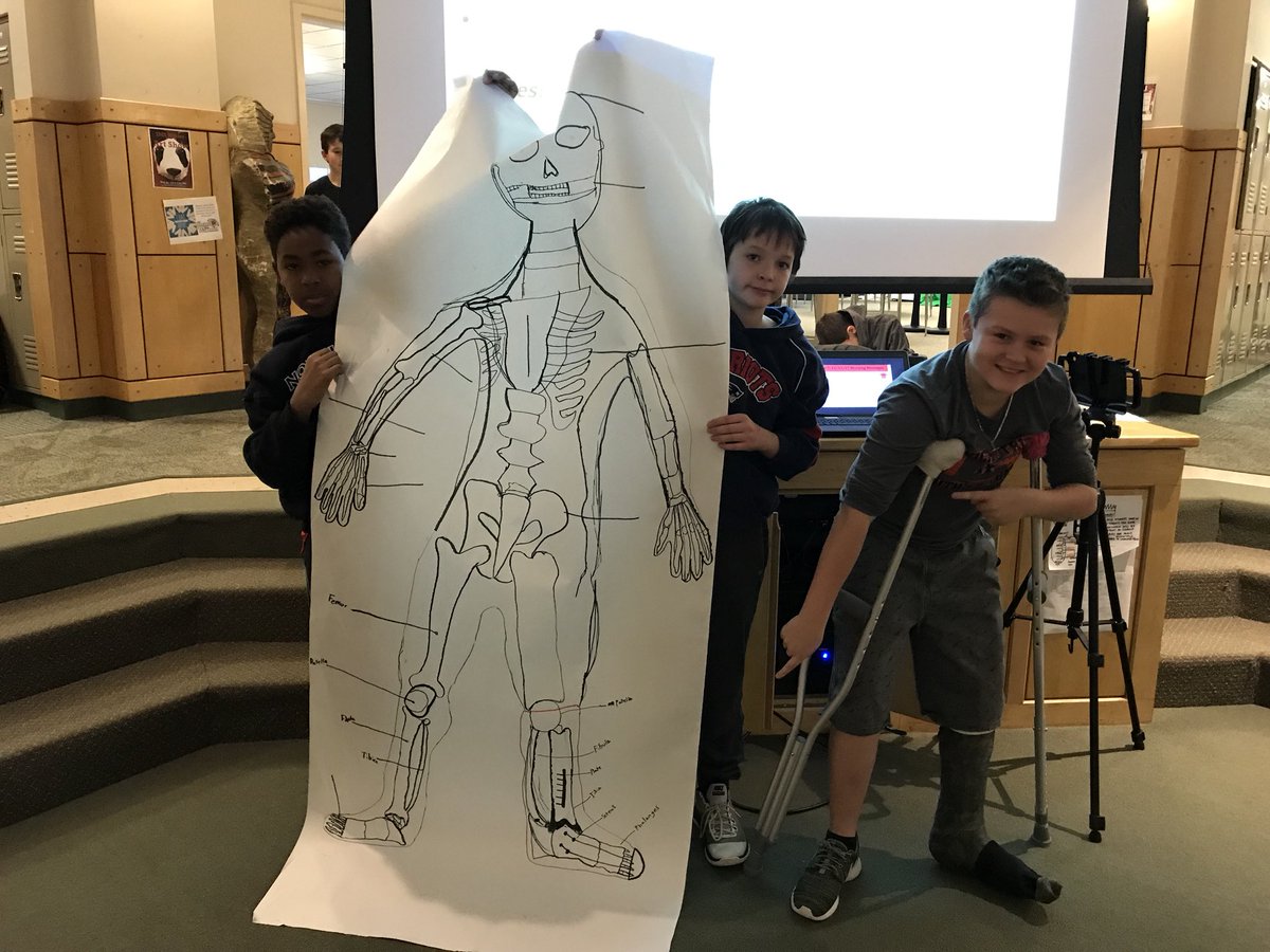TheHealthyTiger's tweet photo. Busy week in 7th grade Health! Finished our life-size skeletons and they came out great! We even got to see what a broken tibia with a cast looks like #IMSTigers https://t.co/zRfk8AI9rv