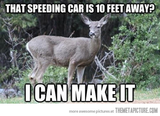 CollWrksYukon's tweet photo. But what if he is wrong? #Letushelp #hitadeerwinsomegear #deerhitshappen

https://t.co/rFqoGiTFFt https://t.co/mNAsUsaSBB