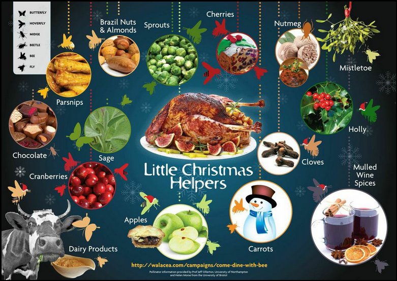 What we're reading: Buzzy Christmas Helpers &amp; Chilly Nutmeg scienceandfooducla.wordpress.com/2017/12/14/buz…