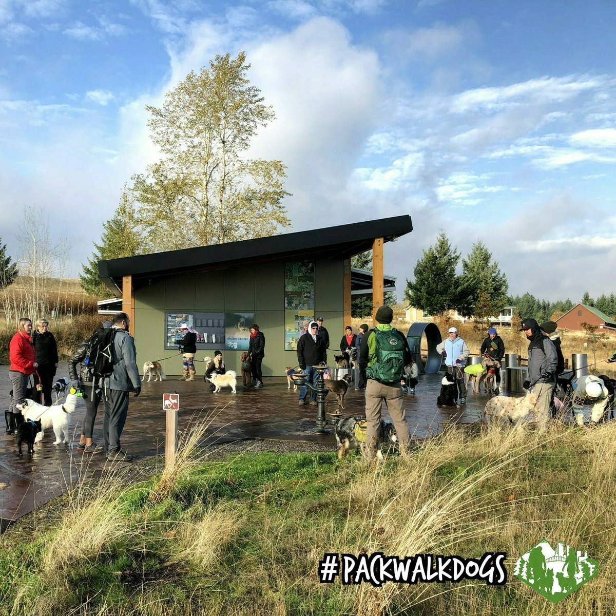 PDXPackWalks's tweet photo. Great crowd of #doggos at our November #PackWalk! There's lots of excited energy while we gather! 

#PackWalkDogs https://t.co/SSYheDPkJp