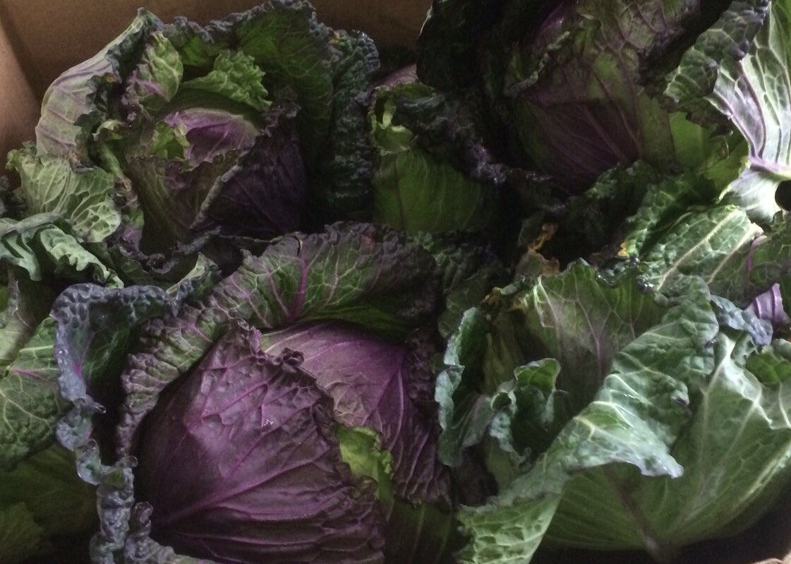 Ribble Farm Fare tweet media