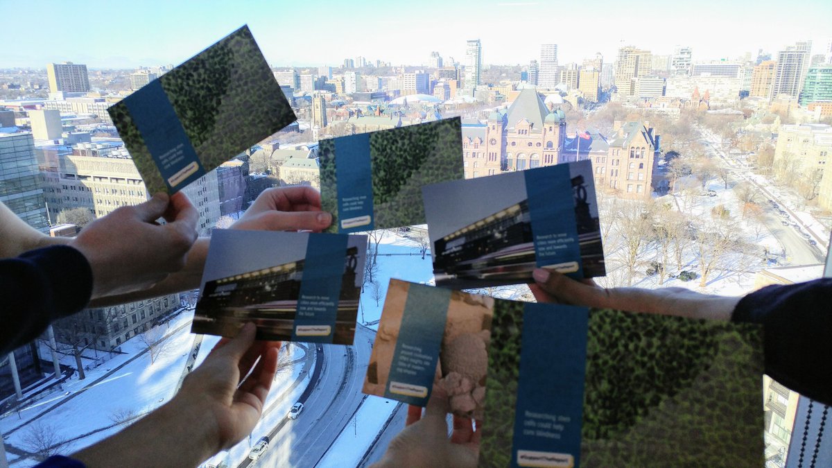 The Cowen lab supports the report &amp; fungal research! Postcards being mailed now! #supportthereport <a href="/ScienceMin/">Minister of Science</a> <a href="/JustinTrudeau/">Justin Trudeau</a> <a href="/uoftmedicine/">Temerty Medicine</a>