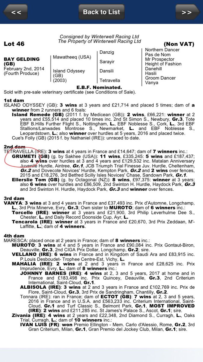 Lot 46 selling tomorrow <a href="/tattscheltenham/">Tattersalls Cheltenham</a> after racing. 
Don't miss your chance to get involved in an exciting bumper horse with a fantastic pedigree to match!