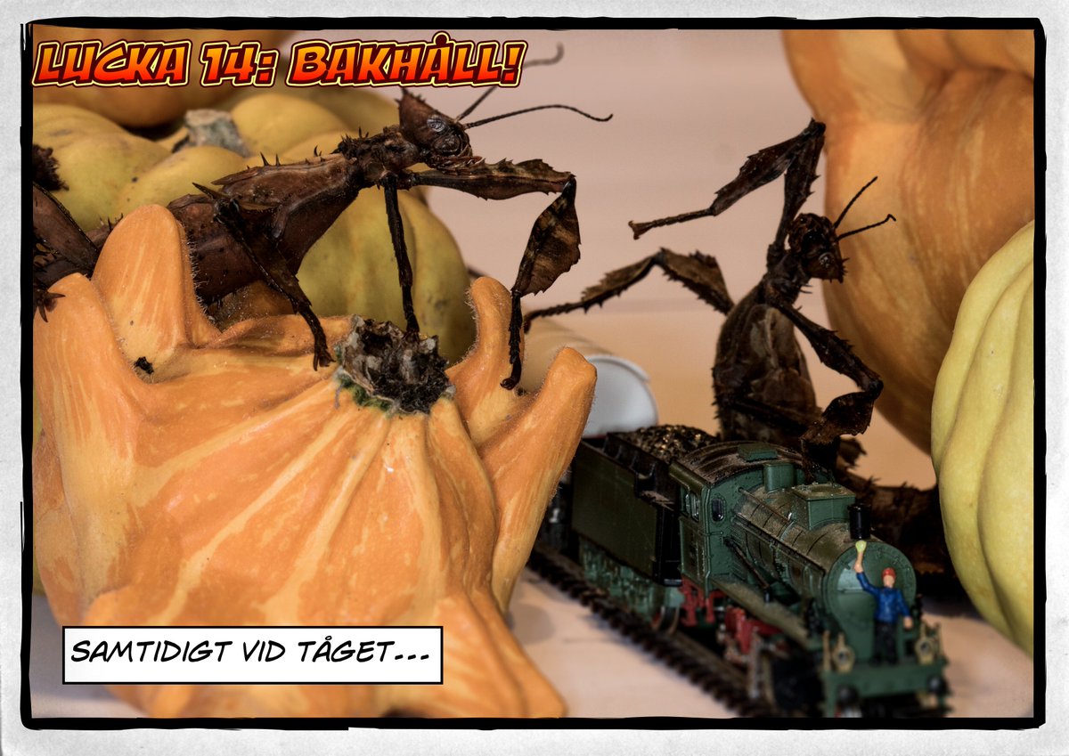 hjulresan's tweet photo. #lucka14 #adventskalender #julkalender #bakhåll #arthropods #SL #pendeltåg https://t.co/4vLFyX3CGZ