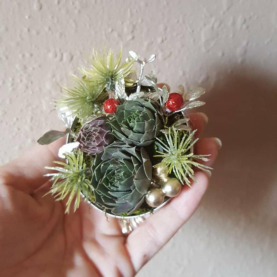 SucculentEnter3's tweet photo. Loved our invite to the @DSGOzarks Annual Christmas Party!  Dancing, breakfast, smiles, LOVE, laughter, and @SucculentEnter3!  Thank you for including us. https://t.co/hyNN83LW7u
