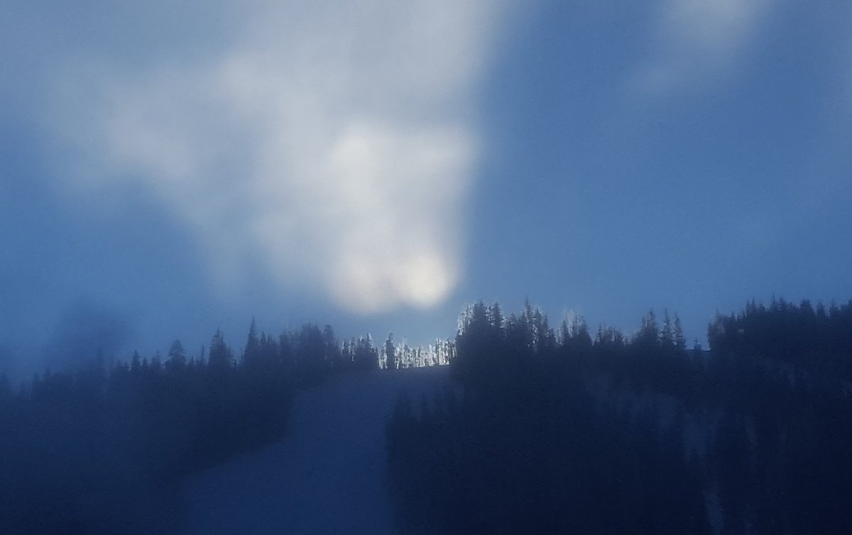 YNPSquatch's tweet photo. Caught a rare early morning glimpse of a #Squatch family traversing the ridgeline in #silhouette at #sunrise. https://t.co/mKTVYSGwhs