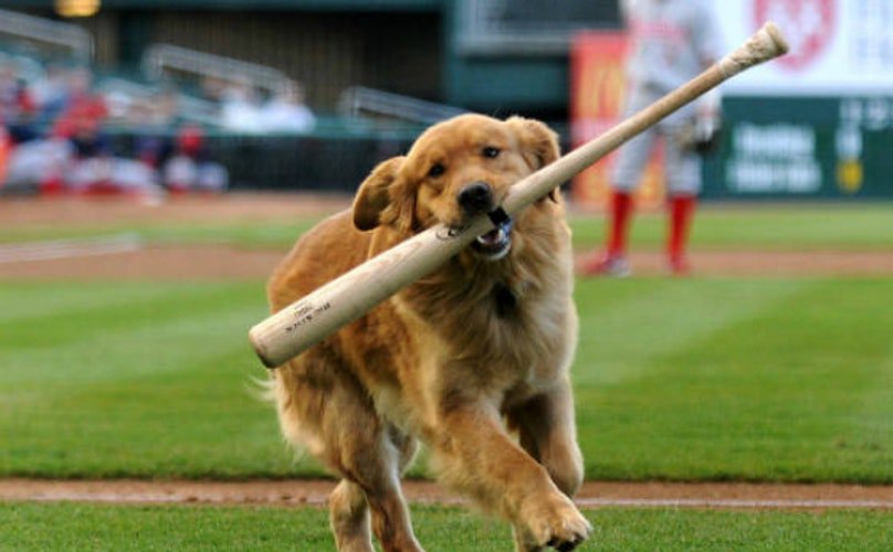 newskillacheivd's tweet photo. Only 105 days till opening day… make sure your furry little guy is ready! https://t.co/XVRPERK4W0 https://t.co/82YJwWpej9