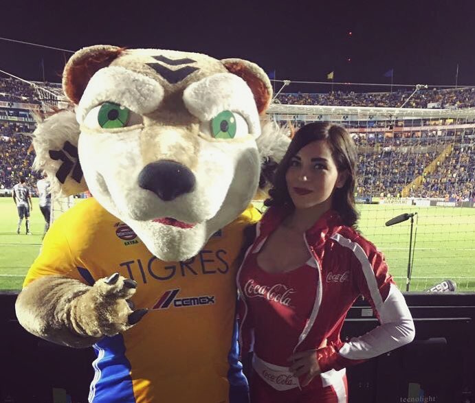 SoyIngridLinan's tweet photo. Con el tigre más pachoncito que existe https://t.co/PQpQwm4nYq