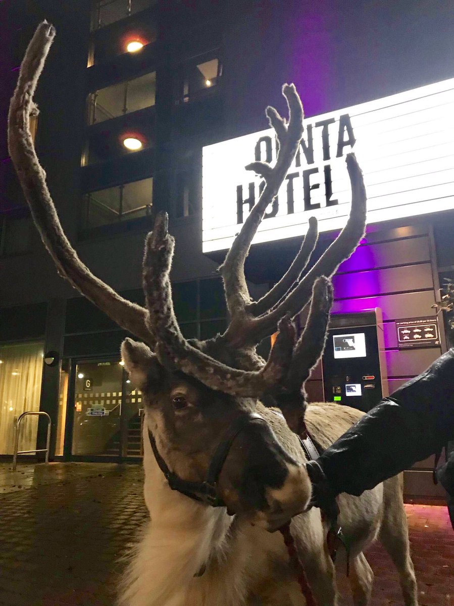 pentaderby's tweet photo. Just a few of our guests checking in this evening 🎄❄️ #wedontdonormal #nopetsallowed @pentahotels https://t.co/sqDKb5TzZX