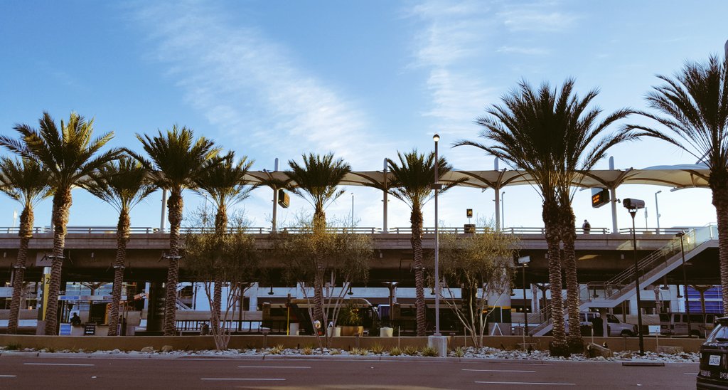 janetdolly's tweet photo. Sure is nice, sitting here on a bench, with no coat, waitin' for my ride. #SanDiego #SAN #sunshine #palmtrees #left20°behindinDC https://t.co/VFqWxDd7WZ