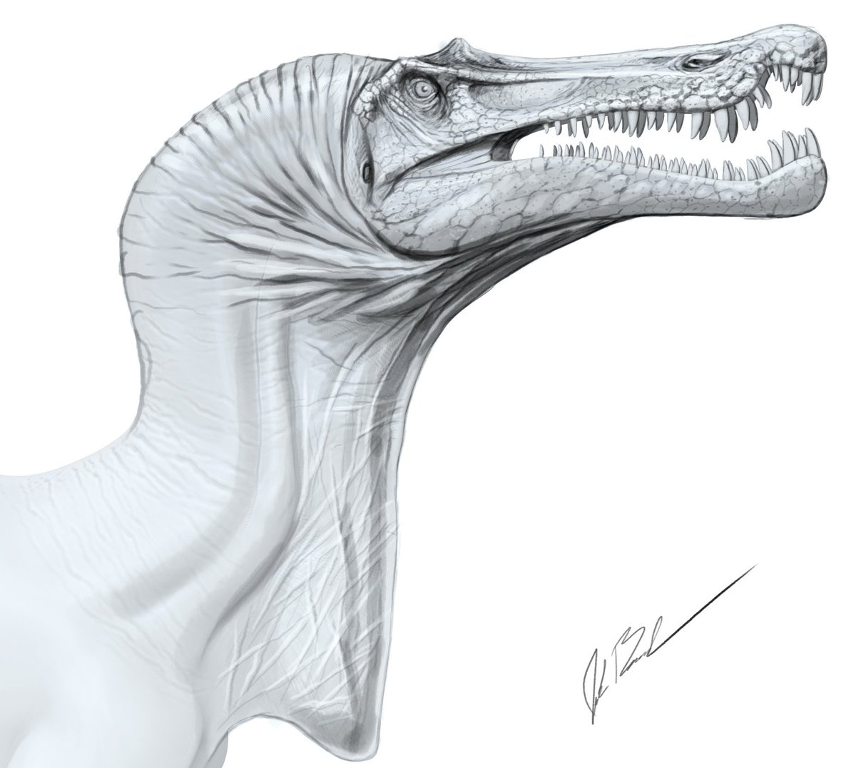 LittleBaardo's tweet photo. Didn't like the Jurassic World 2 Baryonyx so I made my own for a warm-up today. Tried to pull a little bit from McCreery and added a little Marabou Stork. https://t.co/t2H6lKPx6D