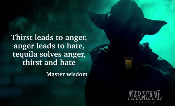 MaracameTequila's tweet photo. A shot of #Maracame you must have, if getting the force you want. #TheLastJedi https://t.co/Zb5AqqSPJT