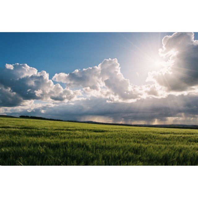 DAYINTHECITY's tweet image. The sun is in my eyes #Edinburgh 
#35mm