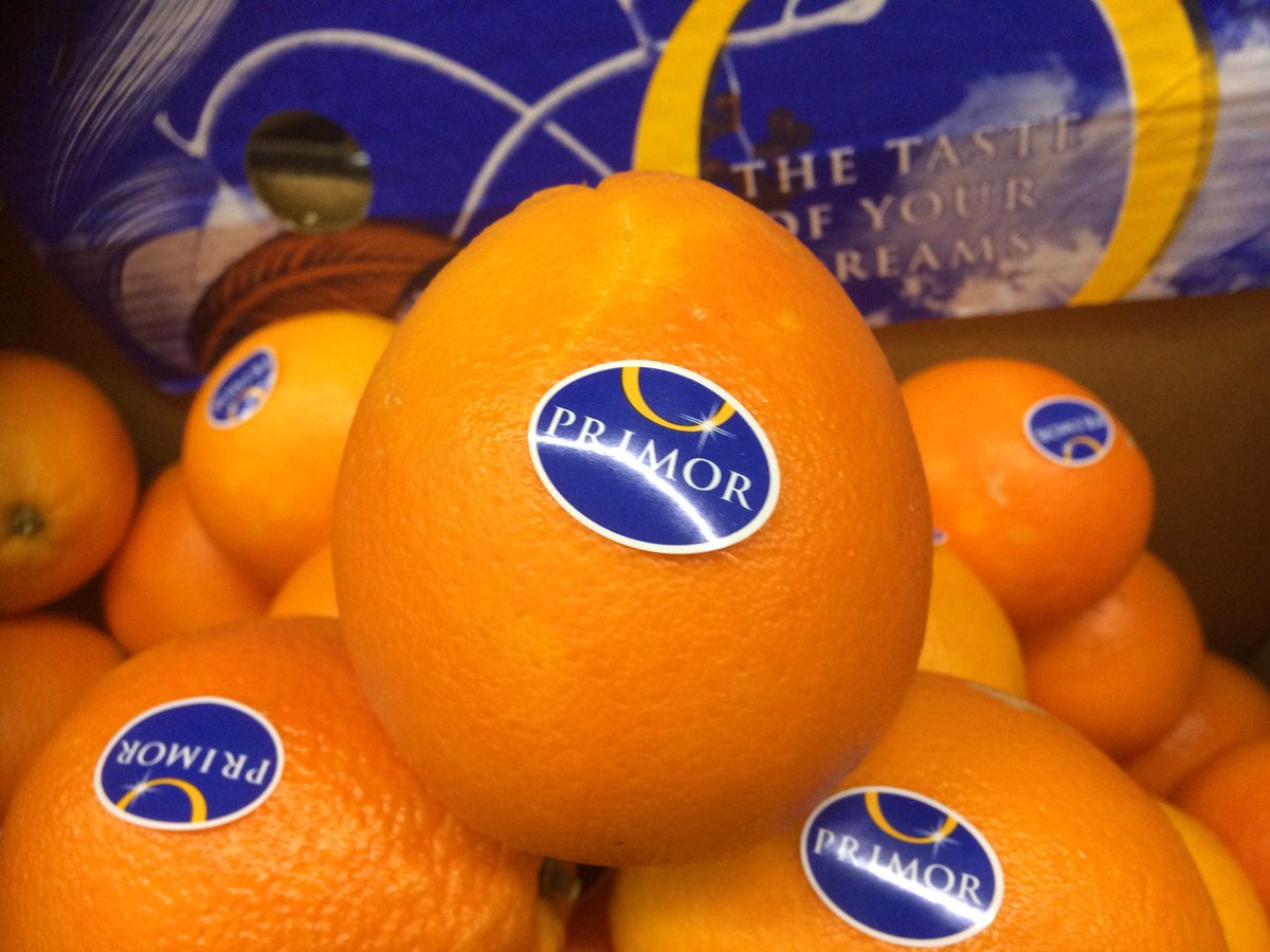 grapefruit in spanish grapefruit in spanish