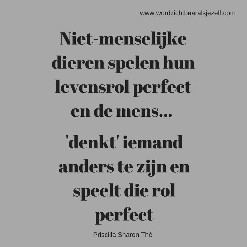 Quote van de dag...