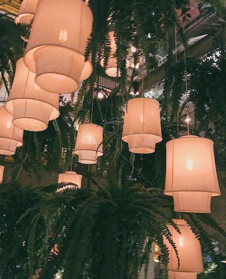 Habanera's tweet photo. Jueves de Habanera!💥🍹🌴
Gracias a Alicia y Sandra por la foto 📷
#HabaneraColon #GrupoLarrumba https://t.co/rUuT4UdA1Q