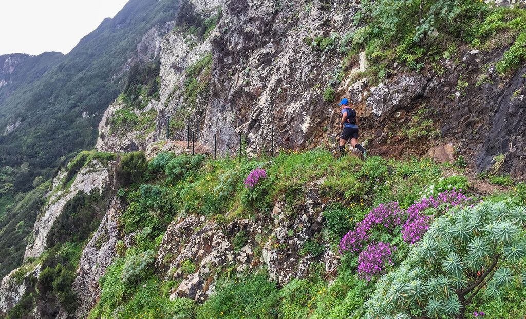 2MADEIRA's tweet photo. Running tour through Larano!
List of all trail running routes https://t.co/IPuRjSZUcR ⠀⠀⠀⠀⠀⠀⠀⠀⠀⠀
#funchal #madeira #trailrunning #2madeira https://t.co/Q47j0YVsm7