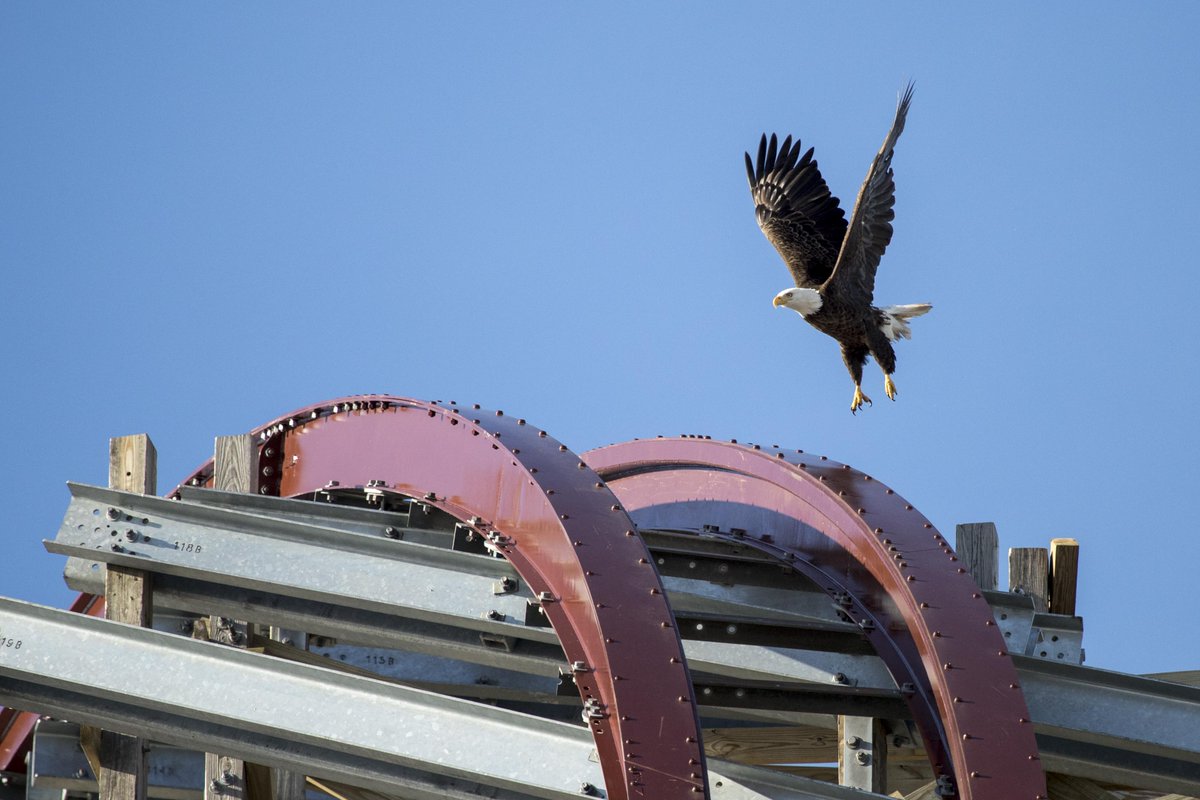 cedarpoint's tweet photo. Time keeps on slippin', slippin', slippin'...

#SteelVengeance #TallestFastestWildest #TheyreComing https://t.co/MmSwu8HdLU