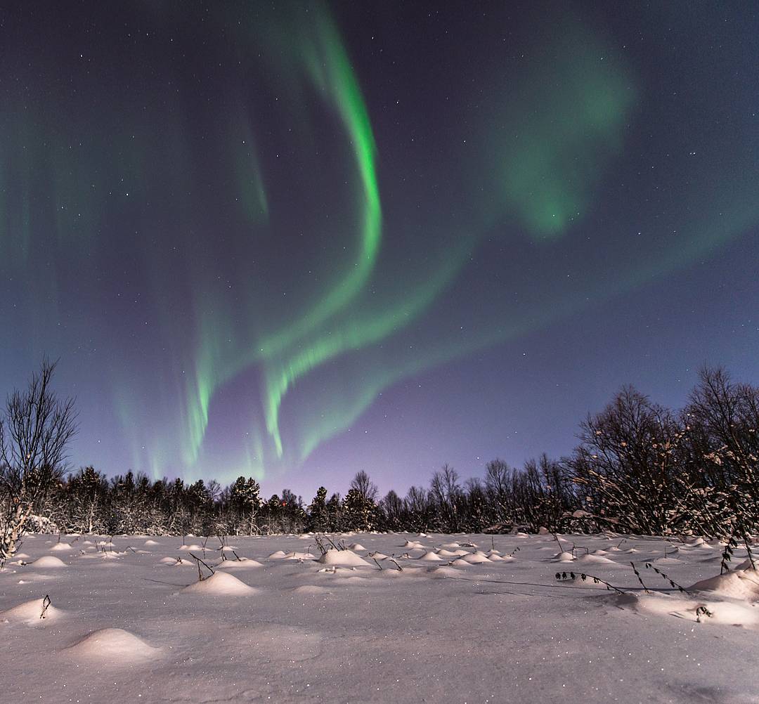 AngryTheInch's tweet photo. Last week. There's something extra peaceful and mesmerizing about these stripy auroras. I somehow see them as musical notes. https://t.co/JQZd1LWUMF
