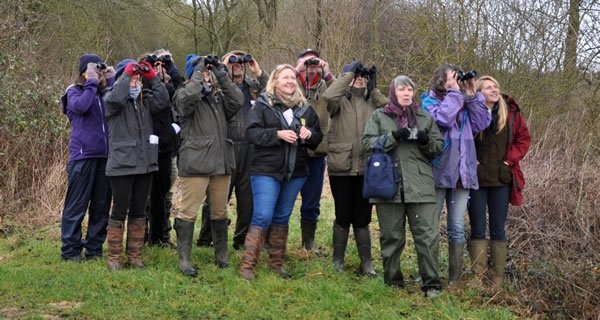 Gameandwildlife's tweet photo. [NEW] Farmland Bird ID Days taking place across the UK - limited places available. Full details here: https://t.co/rKtS17E1kO https://t.co/DAkcvEygrk