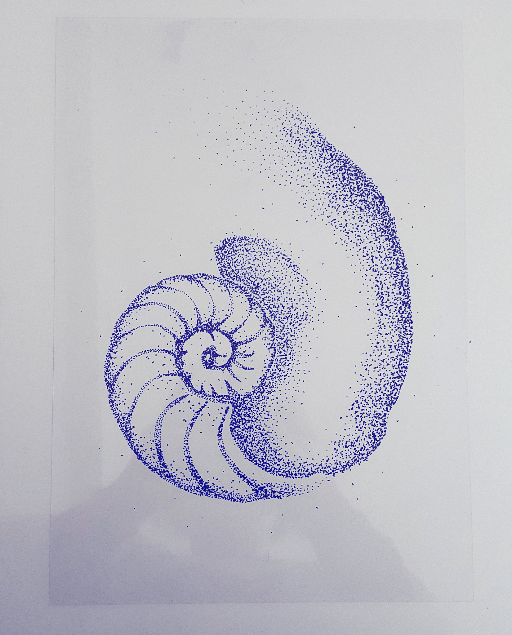 vee on Twitter: "My sister's (14 years old) artwork : Cosima's tattoo - Golden Ratio @OrphanBlack @tatianamaslany https://t.co/IwZ1N2OIsi" / X