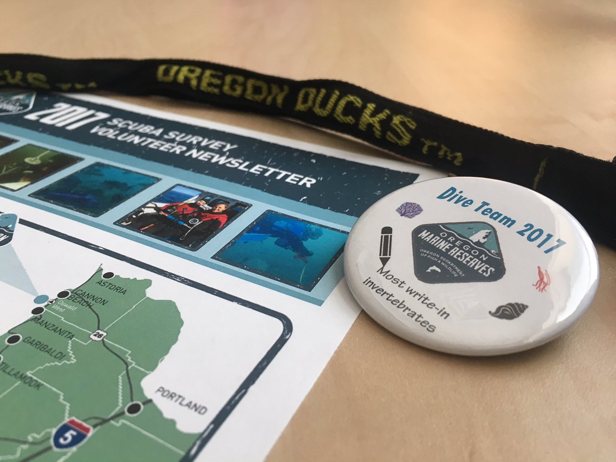 It was a great diving with the Oregon Marine Reserves Program this year! This is a great group of very hardworking people in multiple agencies. They gave me a pin in recognition of my extensive invertebrate 'write-ins' on the data sheets! 😂🤓