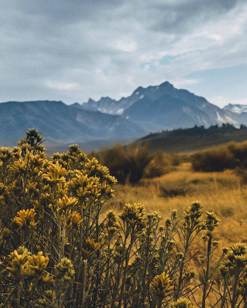weskrieselphoto's tweet photo. Throwback to last summer in #mammothlakes #sierranevadas #sierras #california #iphonephotography #iphone7plus #photographer #travelphotography #photography #pinetrees #sunset #clouds #lightroom #lightroommobile #petermckinnon #chrishau https://t.co/mxu91y4zOZ https://t.co/h4zW37GwNw