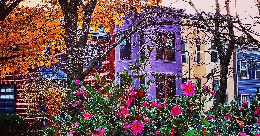 Citylightsrg's tweet photo. DC shines in Pantone's color of the year 2018! https://t.co/9cXMfzI2wb #pantonecolor2018 #ultraviolet #dcrealestate #dcinteriors #dctrends #DChomes https://t.co/FyZEZiyZNx