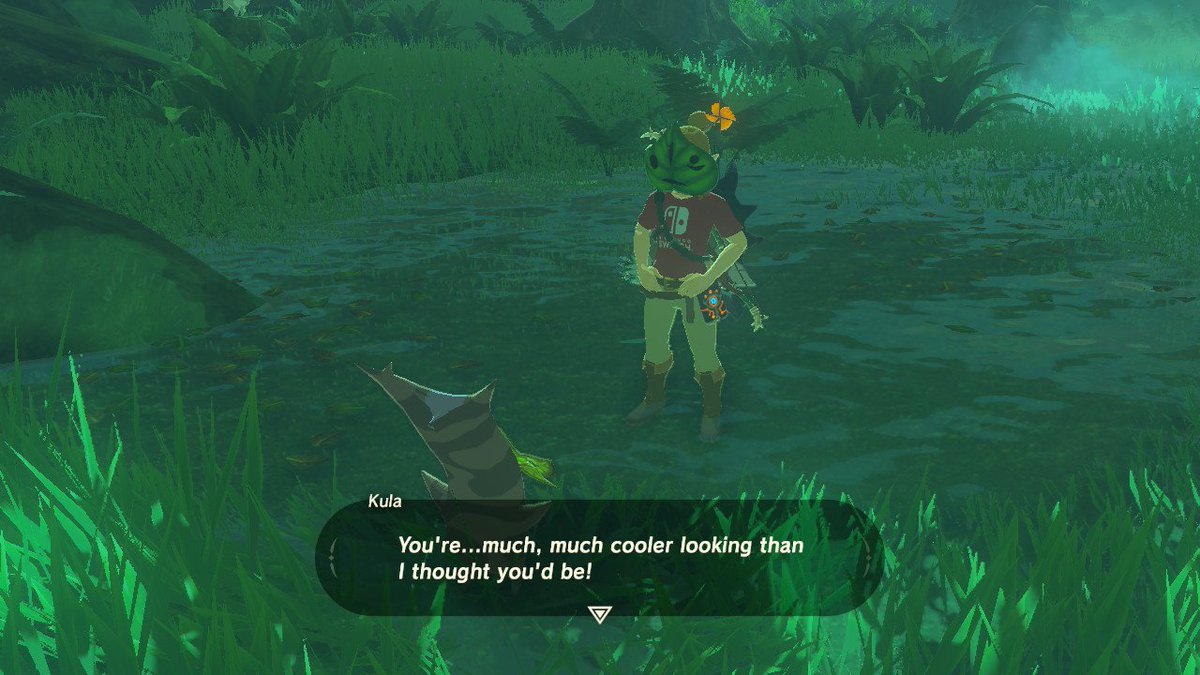 boopthezoop's tweet photo. ...It's the mask, isn't it? #BreathoftheWild #NintendoSwitch #thirdplaythrough https://t.co/Mv8iriiLHv