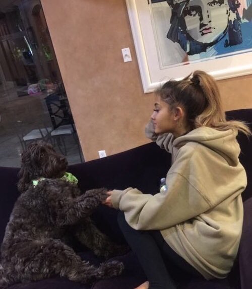 i swear dogs connect with ariana on a spiritual level