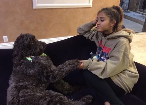bocaslumos's tweet photo. i swear dogs connect with ariana on a spiritual level https://t.co/fkf6s1i7Oa